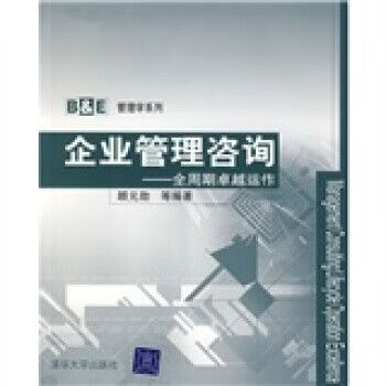 b&e管理学系列 企业管理咨询 顾元勋 等 著 清华大学出版社